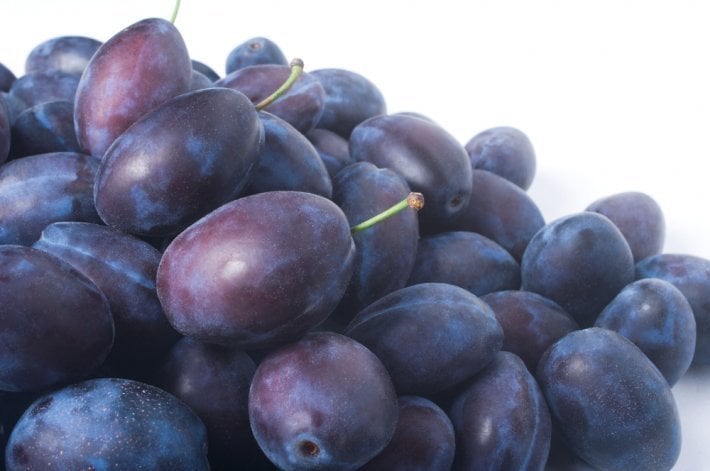 Freze Siyah Erik Fidanı