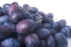 Freze Siyah Erik Fidanı